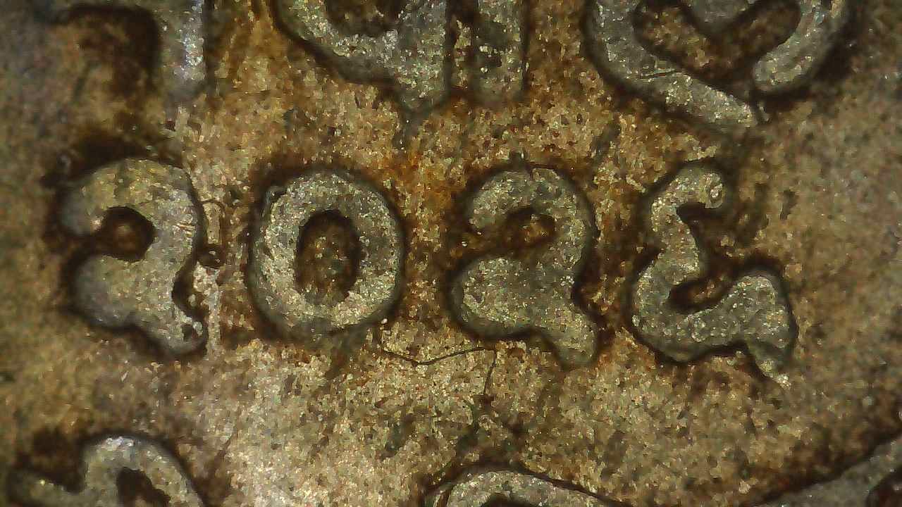 What-Nepali-Years-Are-These-Coins?