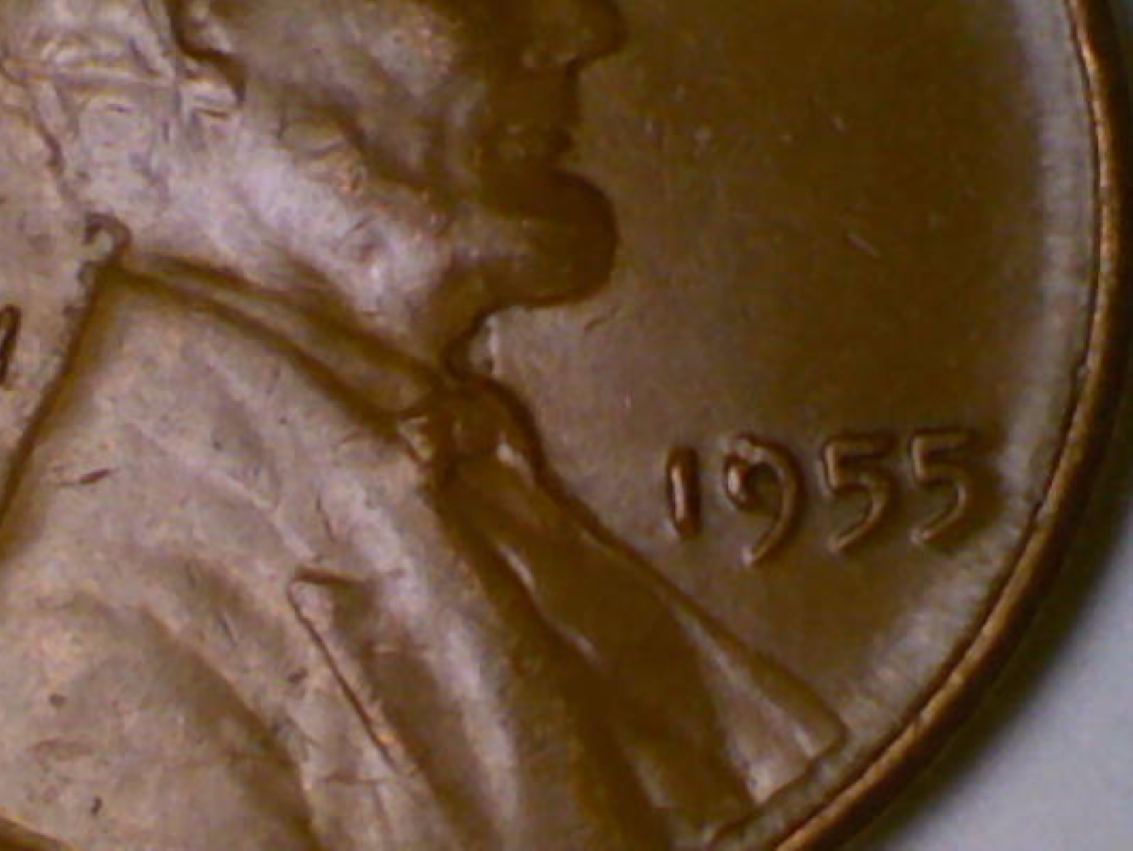 1955-Lincoln-Penny-Tail-On-5