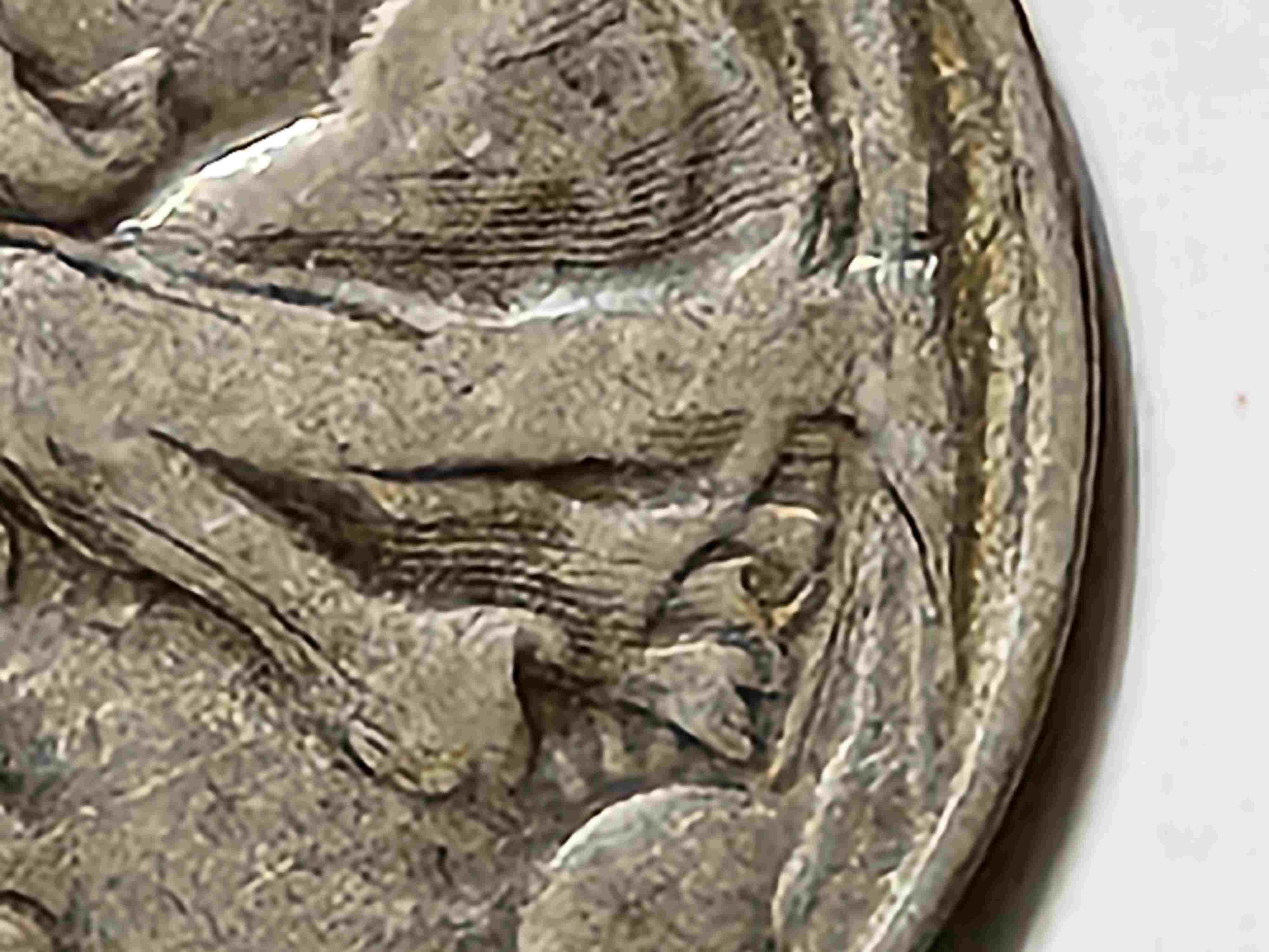 Walking-Liberty-Half,-Unknown-Date,-Error