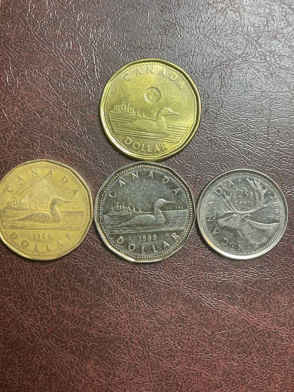 1989-Non-Bronze-Plated-Loonie?-Is-That-What-This-Is?-Can't-Find-Info-Anywhere