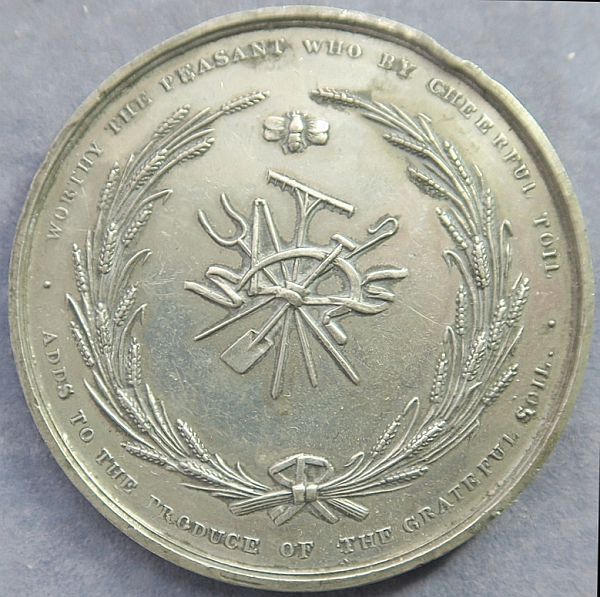 Post-Your-Coins-Representing-The-Animal-Kingdom.