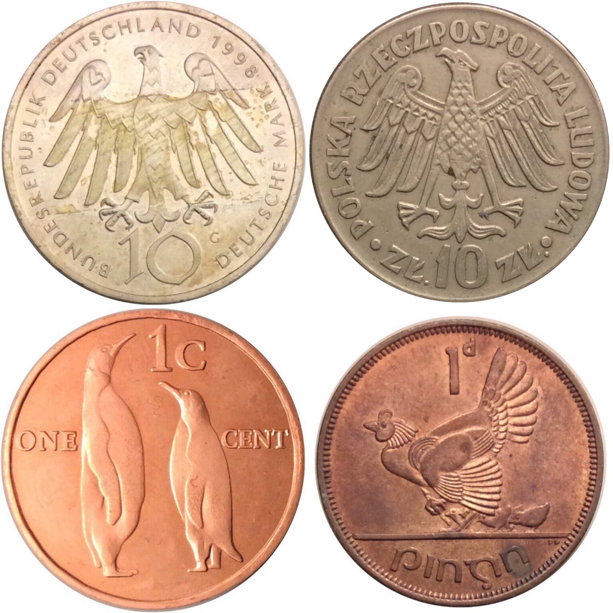 Post-Your-Coins-Representing-The-Animal-Kingdom.