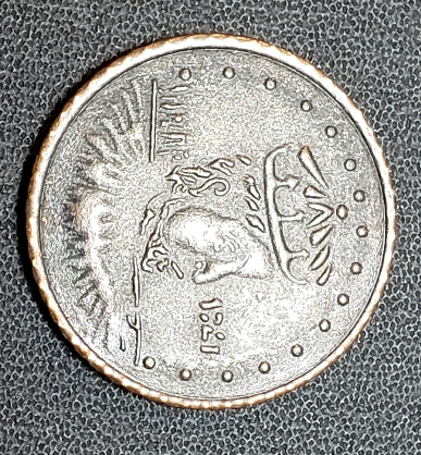 Anyone-Know-What-This-Is?