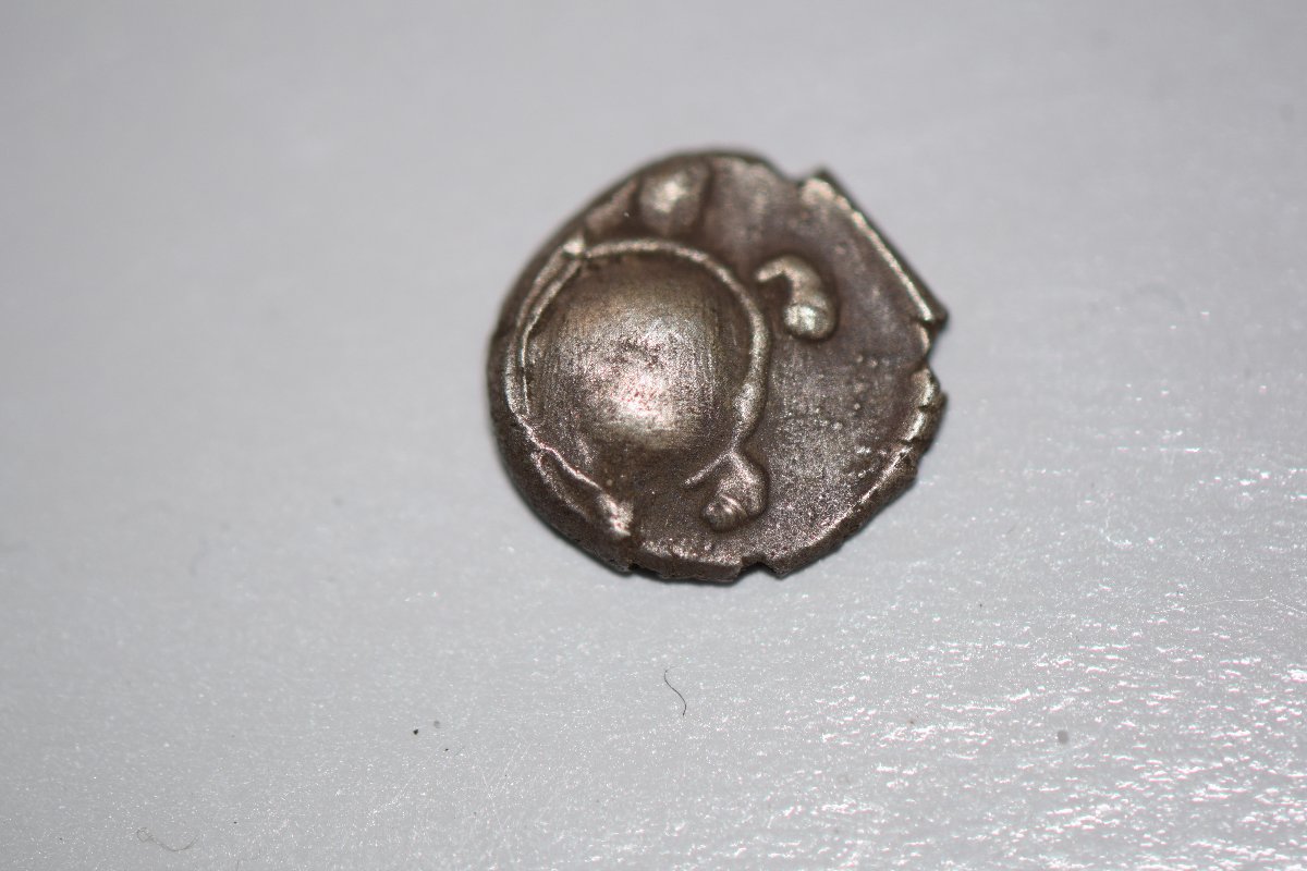Unknown-Ancient-Turtle-Coin