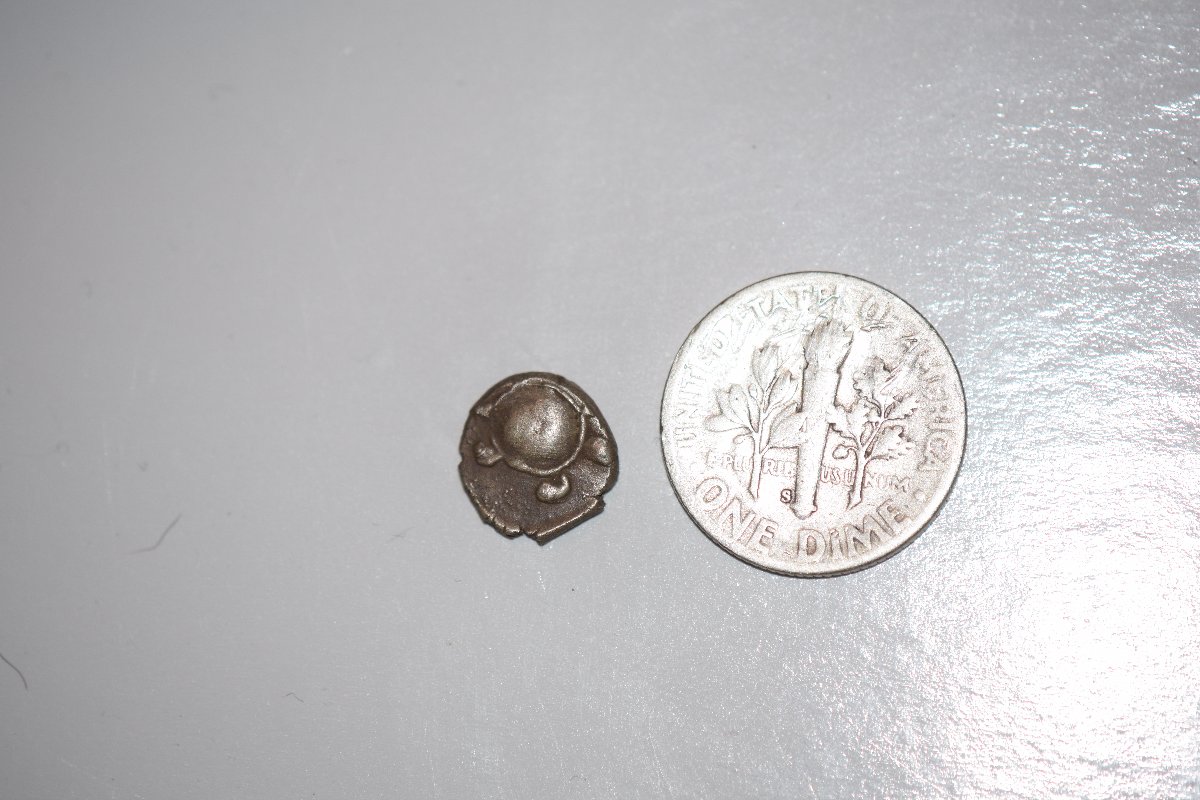 Unknown-Ancient-Turtle-Coin