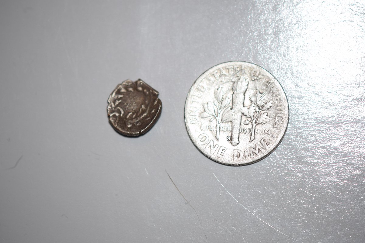 Unknown-Ancient-Turtle-Coin