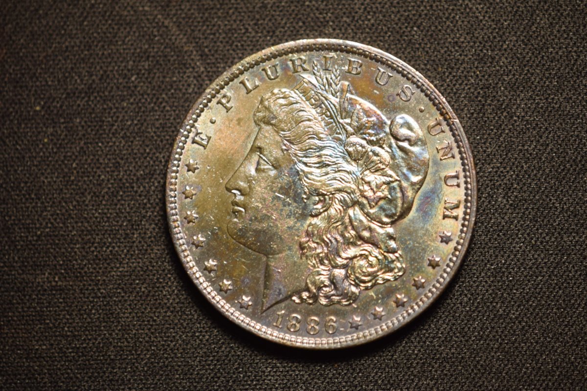 1886-O-Morgan-For-Grading