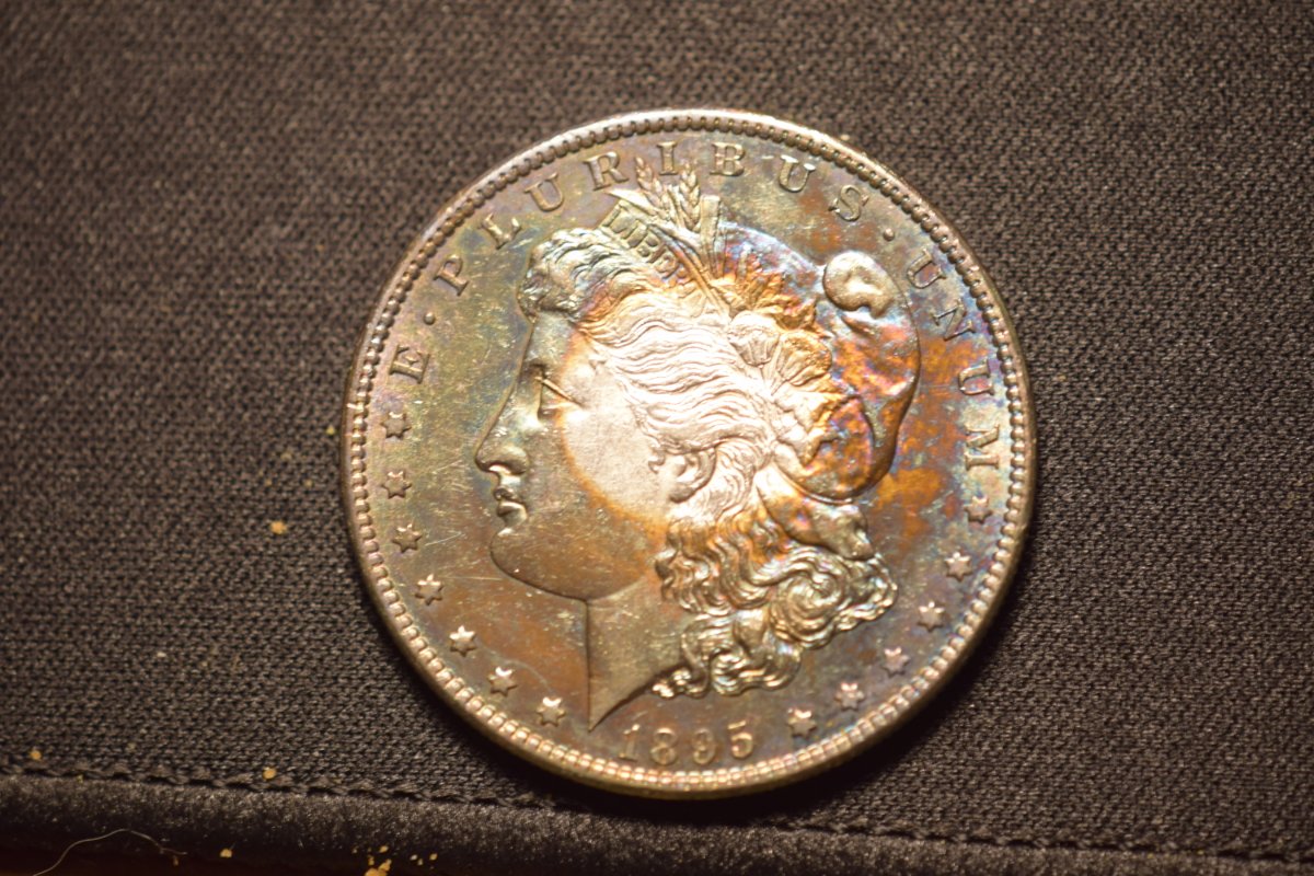 1895-S-Morgan-For-Possible-Submission