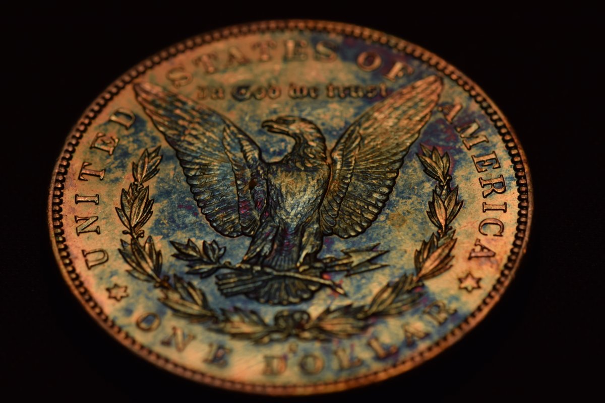1895-S-Morgan-For-Possible-Submission