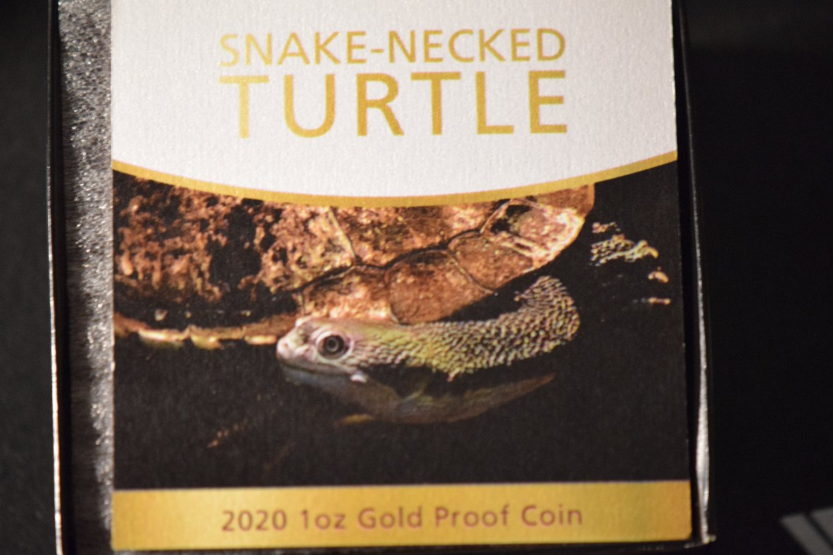 2020-Niue-Snake-Necked-Turtle-Gold-Proof
