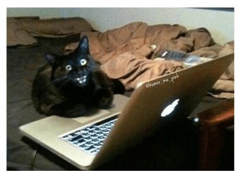 Problem-Uploading-Images