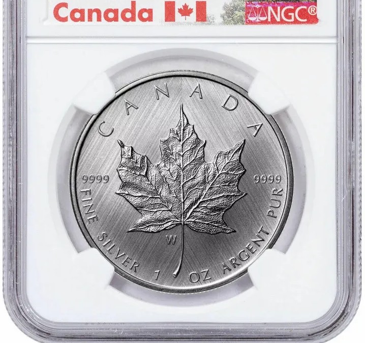G-L-B-49's-Random-Silver-Coins