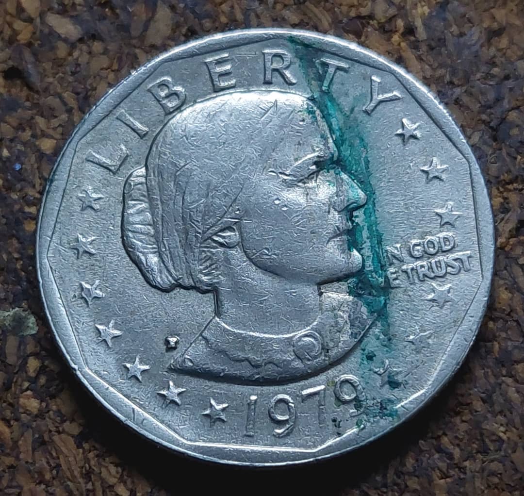 Susan-B.-Anthony-Coin,-Is-This-A-Die-Clash--On-The-Word-