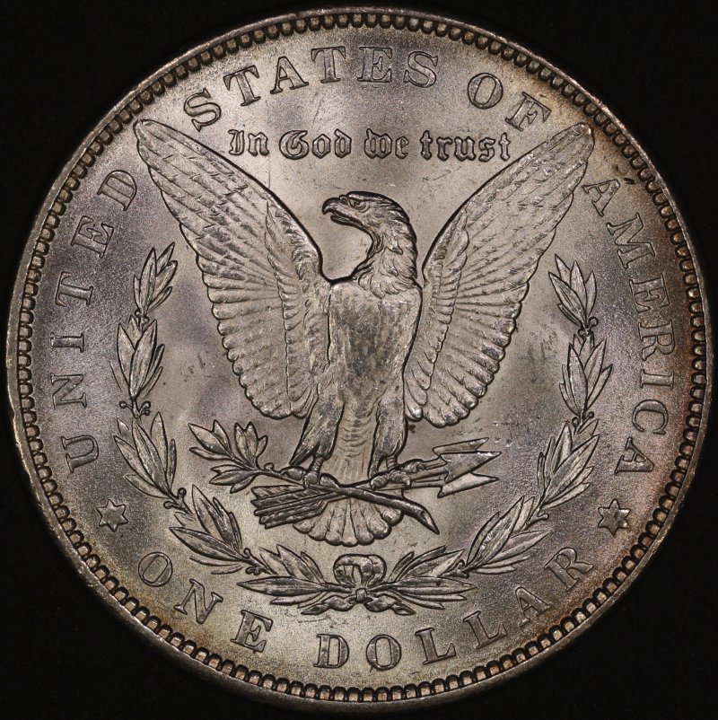 My-Latest-Morgan-Dollar-Cherry-Picks.