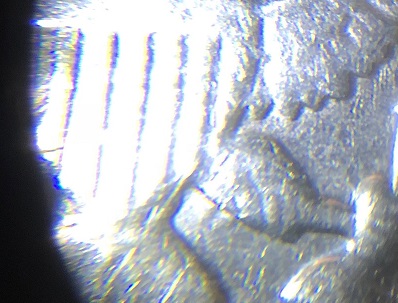 1972-D-JFK-Half-Dollar-Inquiry