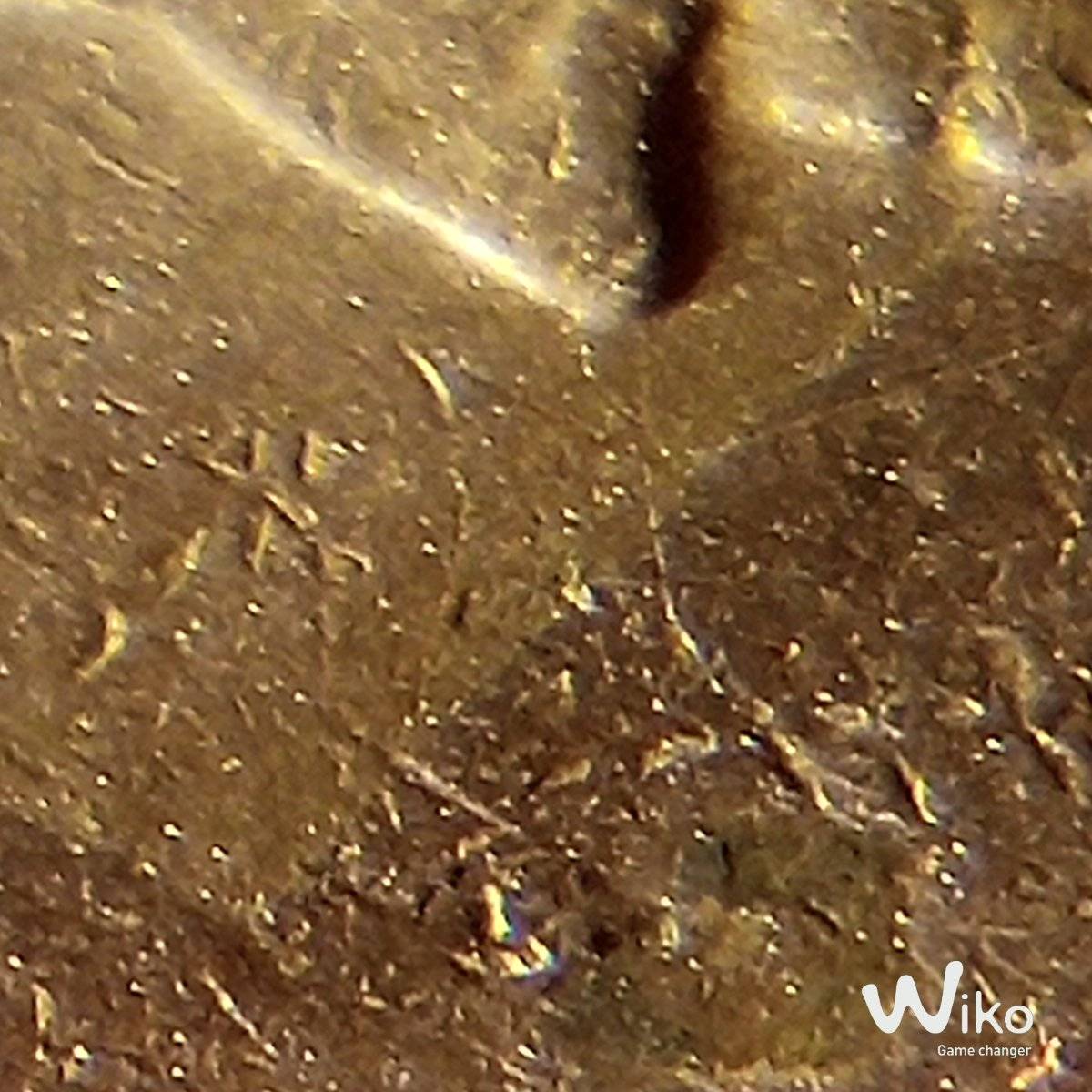 Very-Interesting-1967-Gold-Toned-Quarter
