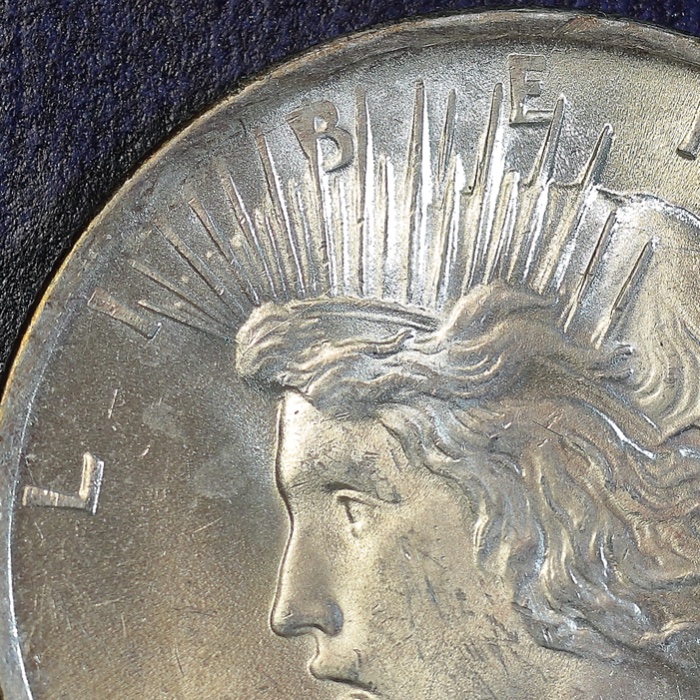1922-Peace-Dollar-Grade-Rim-Question