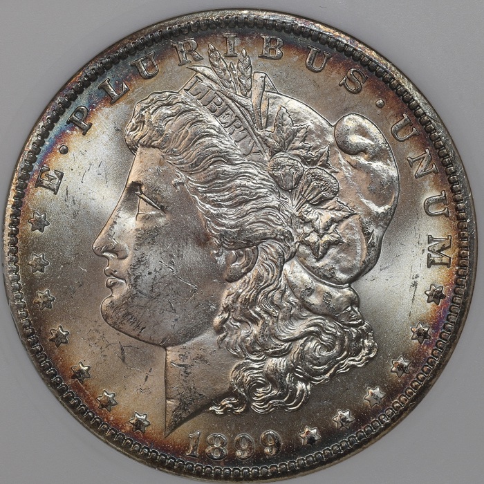 1899-O-Morgan-Picked-Up-Today.