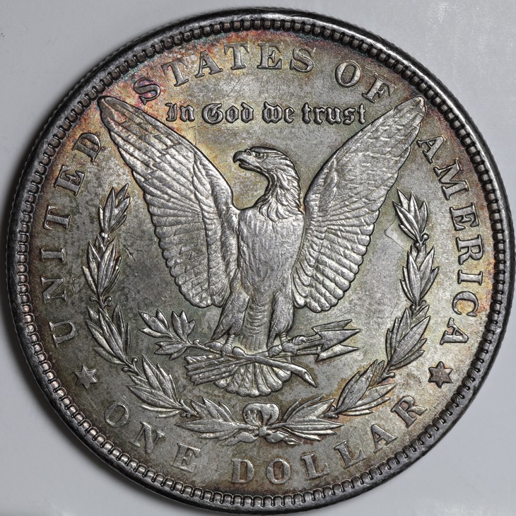 1886-Morgan-Dollar-Clashed-Reverse