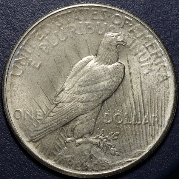 1926-Peace-Dollar-For-Grading