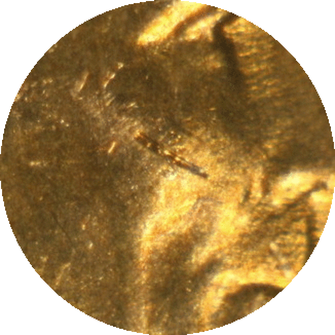 1940-D-LWC-In-Slab-...-Your-Grade?