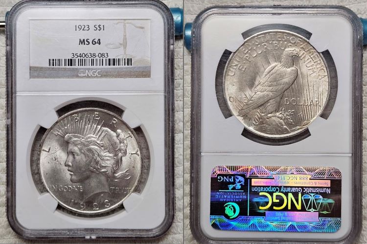 10-Days-Of-Peace-Dollars!