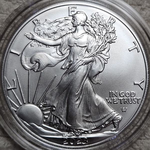 Dearborn's-American-Eagle-Coin-Collection.