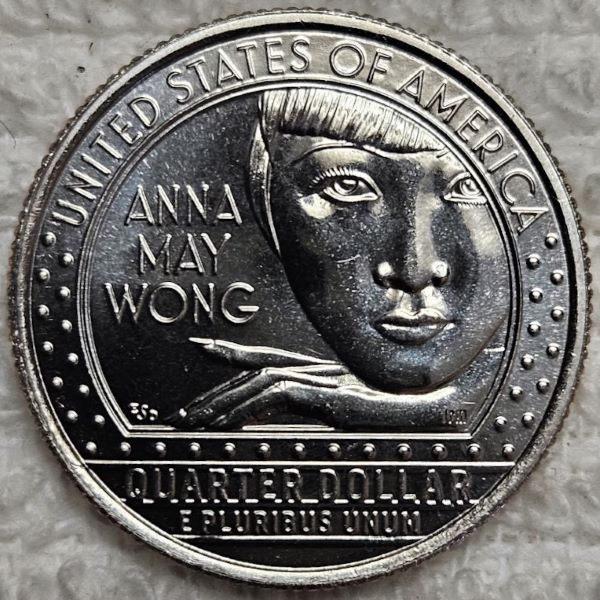 Dearborn's-Completed-Washington-Quarter-Dansco-Collection