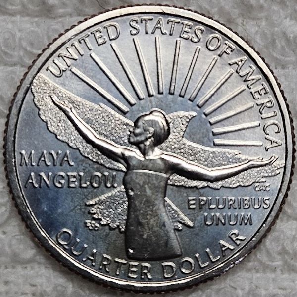 Dearborn's-Completed-Washington-Quarter-Dansco-Collection