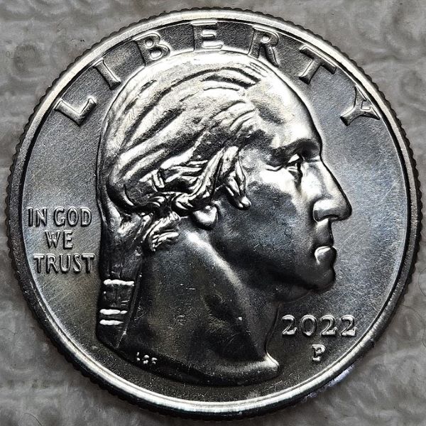 Dearborn's-Completed-Washington-Quarter-Dansco-Collection