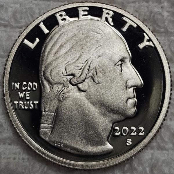 Dearborn's-Completed-Washington-Quarter-Dansco-Collection