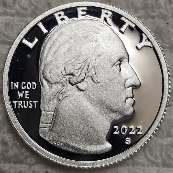 Dearborn's-Completed-Washington-Quarter-Dansco-Collection