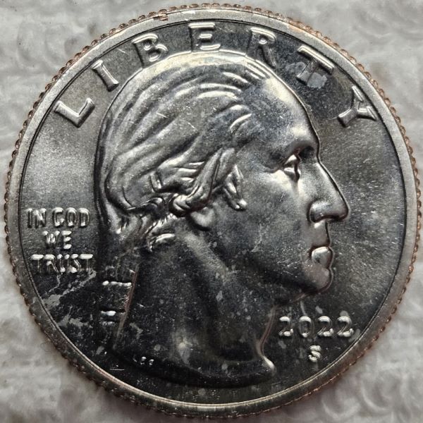 Dearborn's-Completed-Washington-Quarter-Dansco-Collection