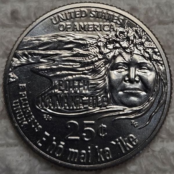 Dearborn's-Completed-Washington-Quarter-Dansco-Collection