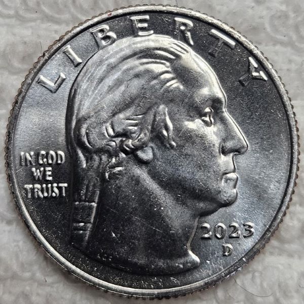 Dearborn's-Completed-Washington-Quarter-Dansco-Collection