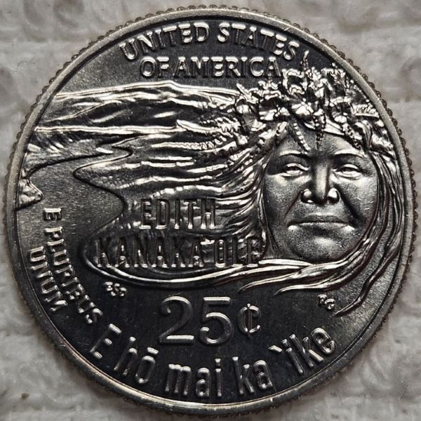 Dearborn's-Completed-Washington-Quarter-Dansco-Collection
