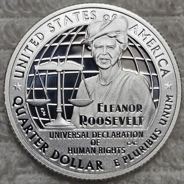 Dearborn's-Completed-Washington-Quarter-Dansco-Collection