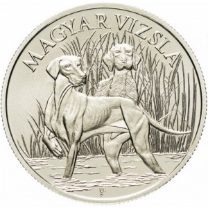 Post-Your-Coins/Medals/Tokens-With-A-Dog