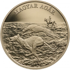 Post-Your-Coins/Medals/Tokens-With-A-Dog