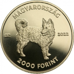 Post-Your-Coins/Medals/Tokens-With-A-Dog