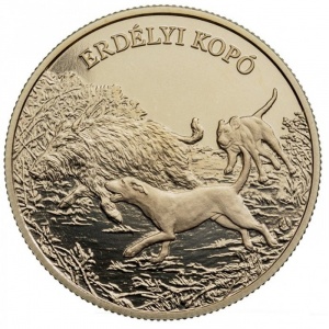 Post-Your-Coins/Medals/Tokens-With-A-Dog