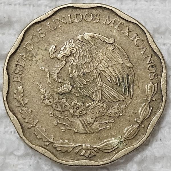 Show-Your-Coins-With-Fruit.