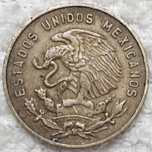 Post-Your-Coin-Or-Medal-With-Flora