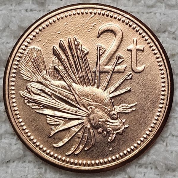 Bring-Out-Your-KM#2-Or-Y#2-Coins-For-Show-&-Tell