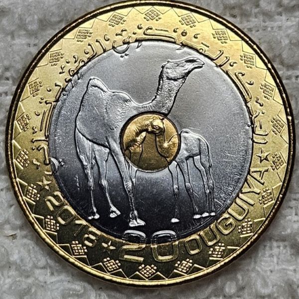 Show-Off-Your-Trii-Metallic-Coins-World-Wide