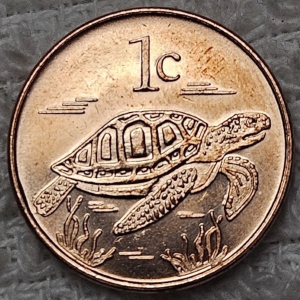 Post-Your-Coin-/-Medal-/-Bank-Note-With-A-Shell