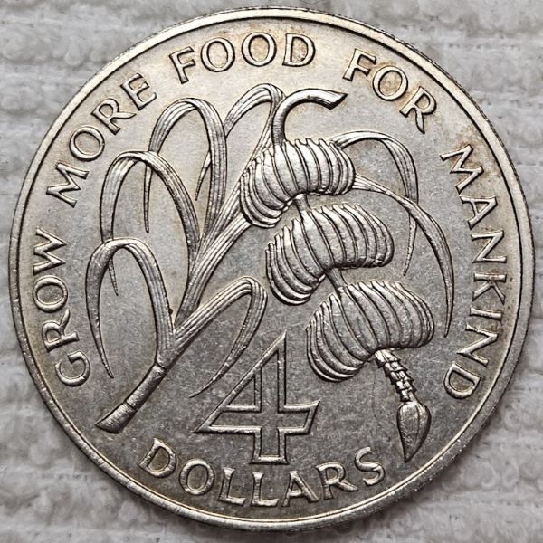 Post-Your-Coin-/-Medal-/-Bank-Note-With-A-Shell