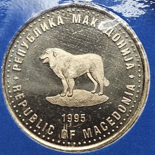 Bring-Out-Your-KM#5-Or-Y#5-Coins-For-Show-&-Tell
