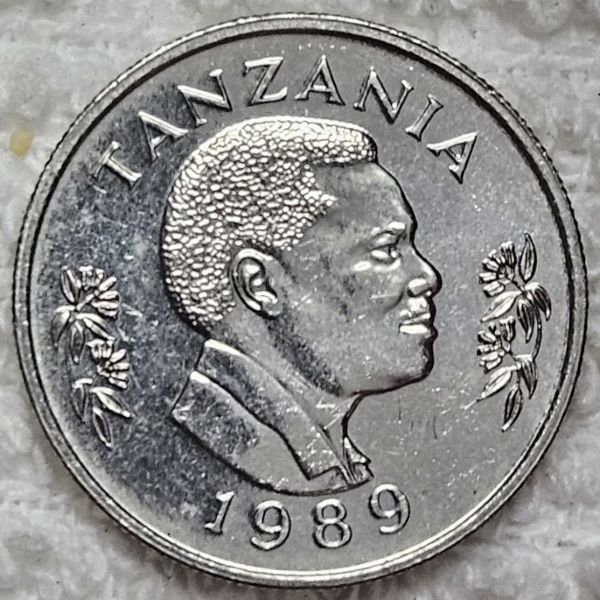 Post-Your-Rabbit-Coins