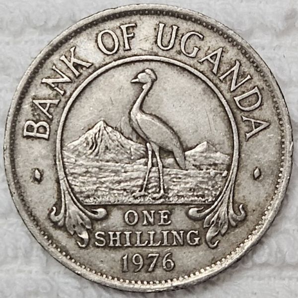 Bring-Out-Your-KM#5-Or-Y#5-Coins-For-Show-&-Tell